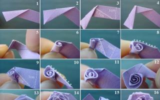 Сделать розу из бумаги оригами просто